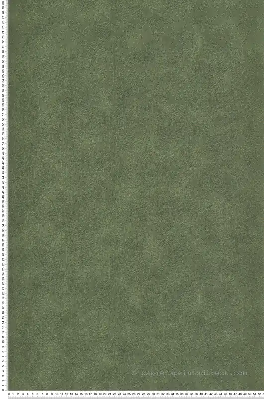 Expédition Rapide Papier peint Nature Nervure vert - Woods de Casadéco Réf. WOOD26217505