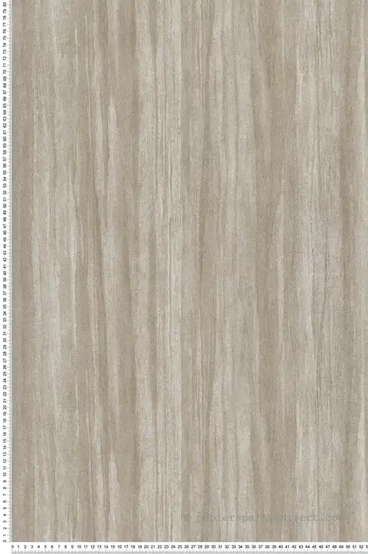 Top Vente Papier peint Faux Uni Eucalyptus grège - Woods de Casadéco Réf. WOOD85981233