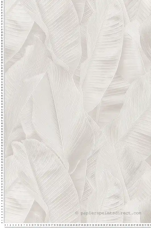 Satisfait Ou Remboursé Papier peint Feuille Banana gris - Folium de Montecolino Réf. MC-FO17821