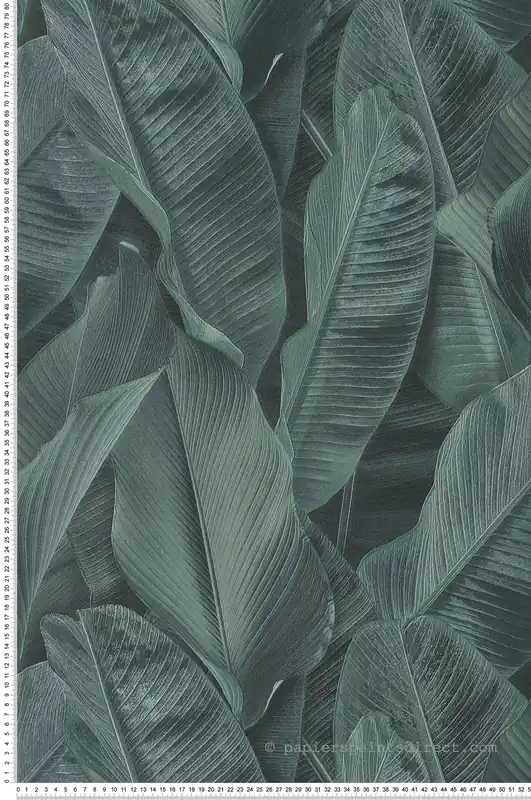 Papier peint Feuille Banana vert emeraude - Folium de Montecolino Réf. MC-FO17813 Haute Qualité