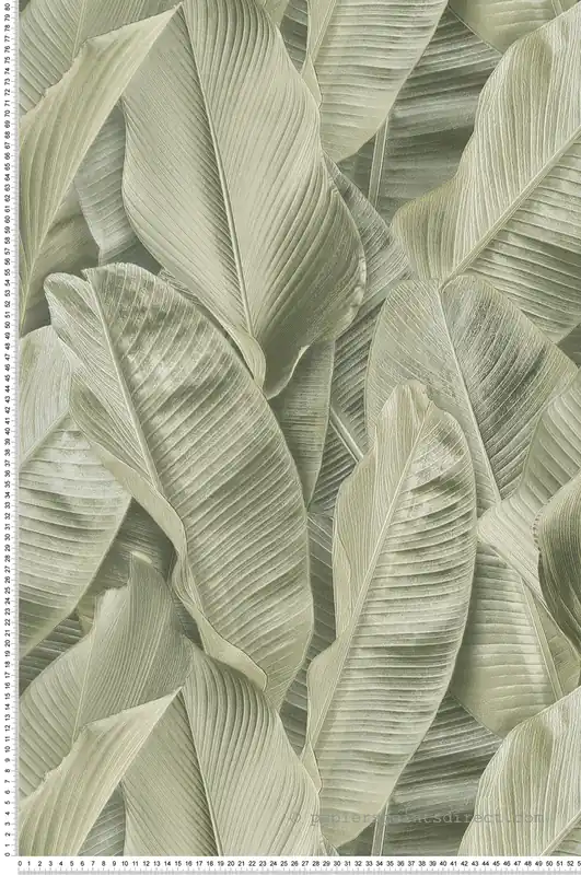 Affaire À Saisir Papier peint Feuille Banana vert - Folium de Montecolino Réf. MC-FO17803