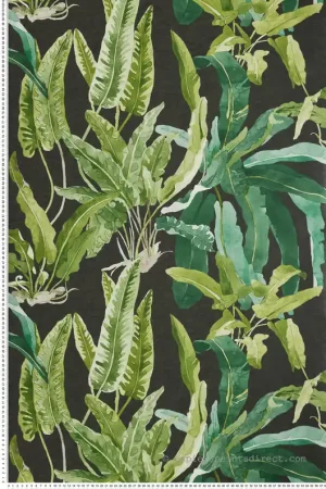 Expédié Aujourd'hui Papier peint Jungle Benmore vert - Ashdown de Nina Campbell Réf. OSB-NCW4393-01