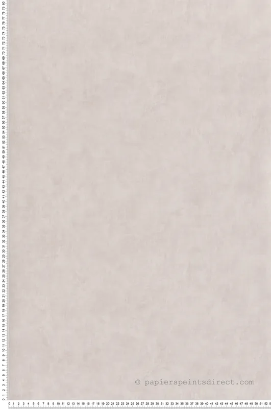Papier peint Faux Uni beige rosé - Les Essentiels de Lutèce Réf. LTC-51203007 Certifié