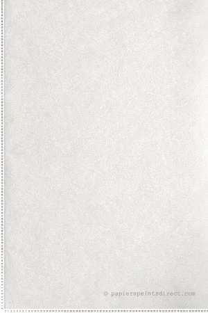 Expédié Aujourd'hui Papier peint Pois Champagne Dots blanc/beige - Rifle Paper Co. d‘Initiales Réf. INI-RI5115