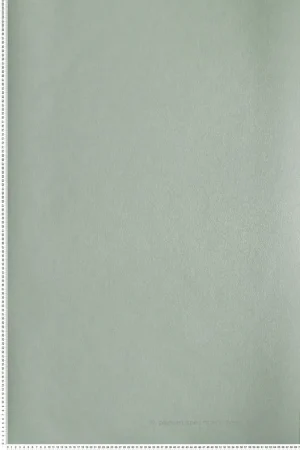 Offre Du Jour Papier peint Faux Uni Roseau céladon - Eté Indien de Casamance Réf. CAS-75134494