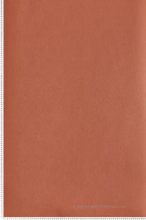 Papier peint Faux Uni Roseau orange - Eté Indien de Casamance Réf. CAS-75133372 Achat Immédiat