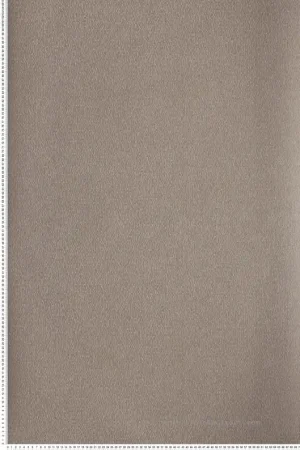 Achetez Aujourd'hui Papier peint Faux Uni Roseau taupe - Eté Indien de Casamance Réf. CAS-75133270