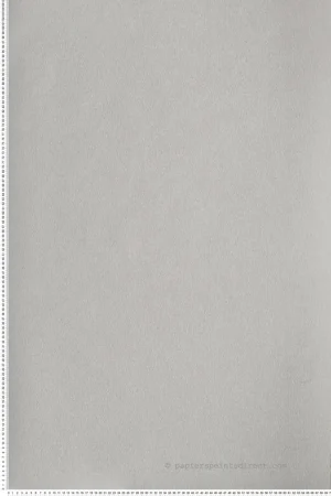 Papier peint Faux Uni Roseau grège - Eté Indien de Casamance Réf. CAS-75133168 Expédition Rapide