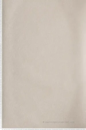 Papier peint Faux Uni Roseau sable - Eté Indien de Casamance Réf. CAS-75133066 Nouvel Arrivage