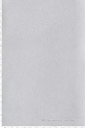 Papier peint Faux Uni Roseau gris - Eté Indien de Casamance Réf. CAS-75132964 Prix Cassé
