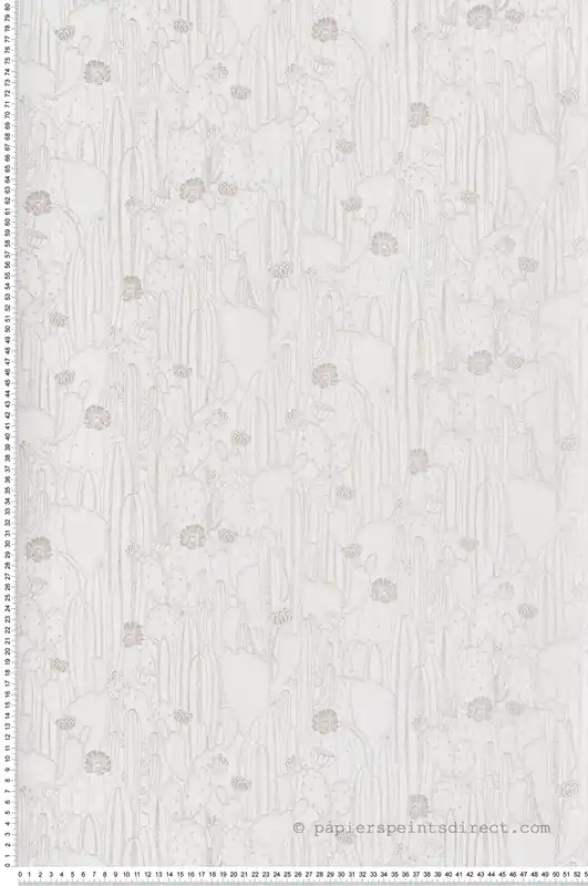 Affaire À Saisir Papier peint Cactus et Fleurs Cactaceae blanc - Botanica de Casadéco Réf. BOTA85920298