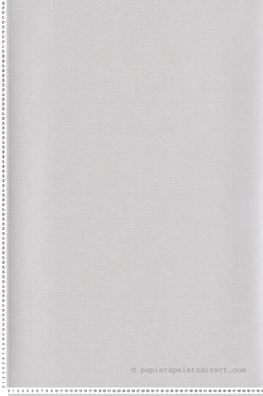 Livraison Express Papier peint Faux Uni Pois gris pale - Botanica de Casadéco Réf. BOTA82079131