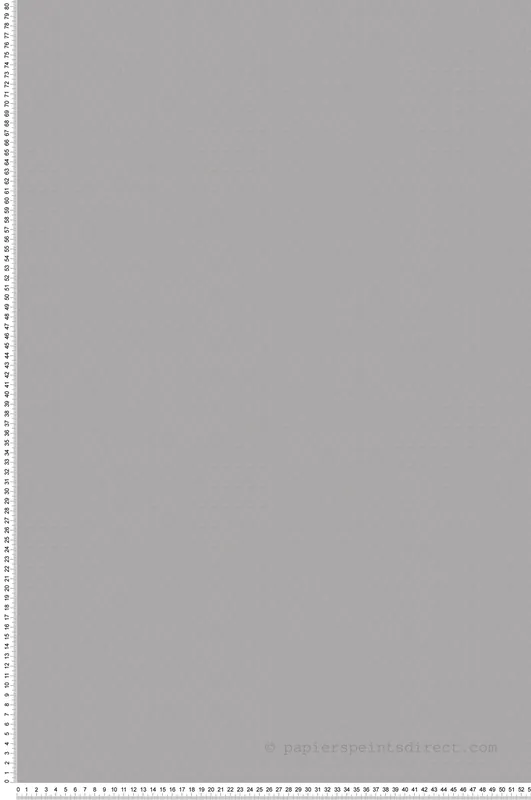 Papier peint Profil Karl Kaia gris - Karl Lagerfeld de Montecolino Réf. MC-37850-6 Prix Cassé