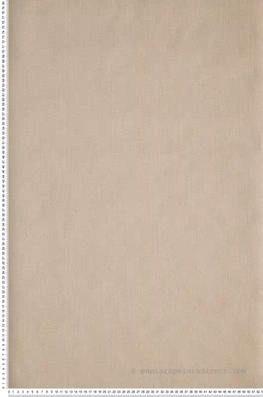 Bon Marché Papier peint Uni Natté Métallisé Beige irisé- L‘escapade de Casélio Réf. EPA101571106
