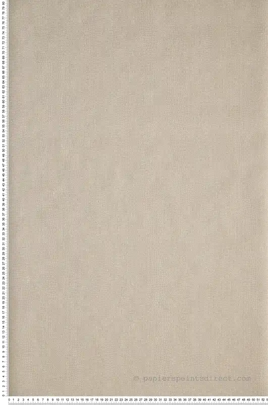Offre Exclusive Papier peint Uni Natté Métallisé Ecru/Doré - L‘escapade de Casélio Réf. EPA101570026