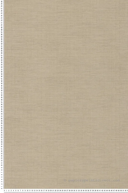 Dernière Chance Papier peint Faux Uni beige sable - Five o‘clock de Casadeco Réf. FOCL85841345