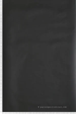 Bon Plan Papier peint adhésif Tableau Ardoise noir - Les Adhésifs de Lutèce Réf. LTC-RMK10969