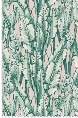Affaire À Saisir Papier peint Feuille Tiger Leaf blush - Folium de Osborne & Little Réf. OSB-W7333-01