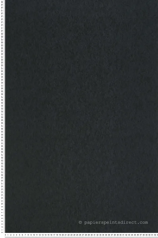 Bon Marché Papier peint Chroma Charcoal noir charbon - Chroma de Osborne & Little Réf. OSB-W7360-22