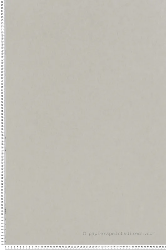 Promotion Papier peint Chroma Putty mastic clair - Chroma de Osborne & Little Réf. OSB-W7360-08