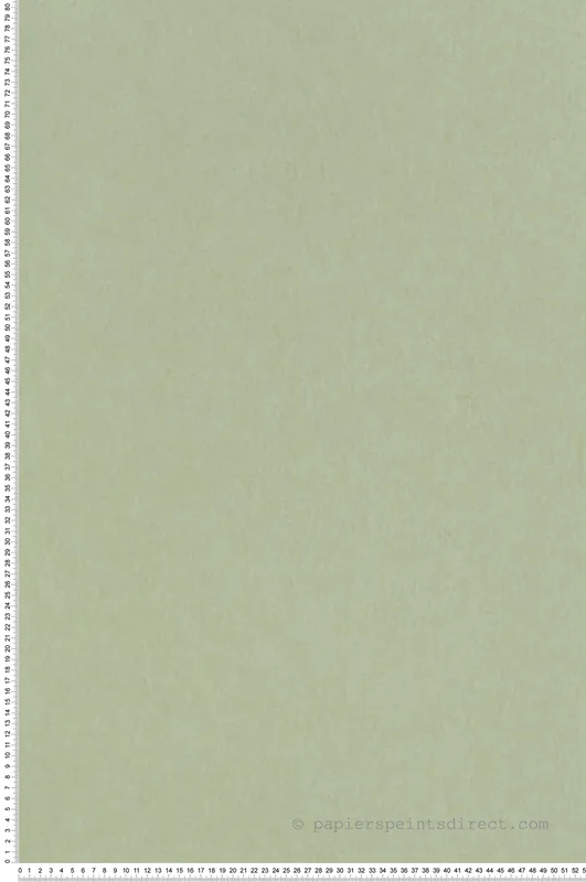 Dernier Modèle Papier peint Chroma Celadon vert pâle - Chroma de Osborne & Little Réf. OSB-W7360-03