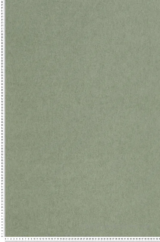 Promotion Papier peint Chroma Sage vert sauge - Chroma de Osborne & Little Réf. OSB-W7360-02