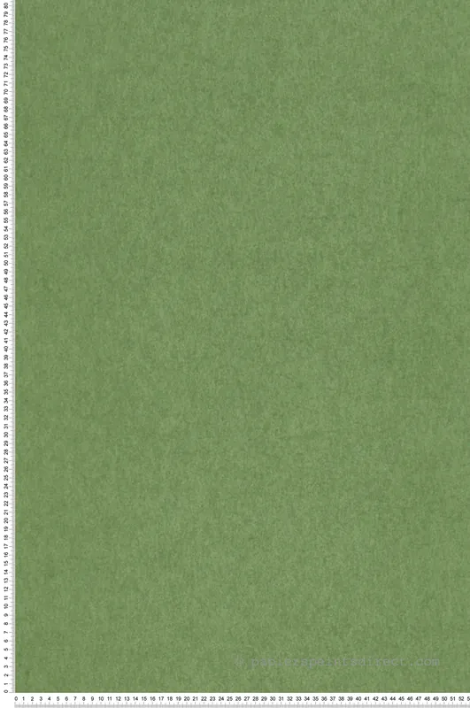 Papier peint Chroma Apple vert pomme - Chroma de Osborne & Little Réf. OSB-W7360-01 Vente Flash