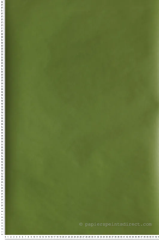 Expédition Rapide Papier peint Uni vert kaki - Rose & Nino de Casadéco Réf. RONI69867313