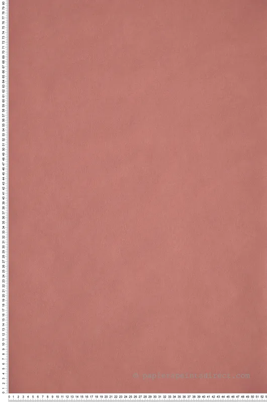 Bon Plan Papier peint Uni rose marsala - Flower Power de Casélio Réf. FLP64524250