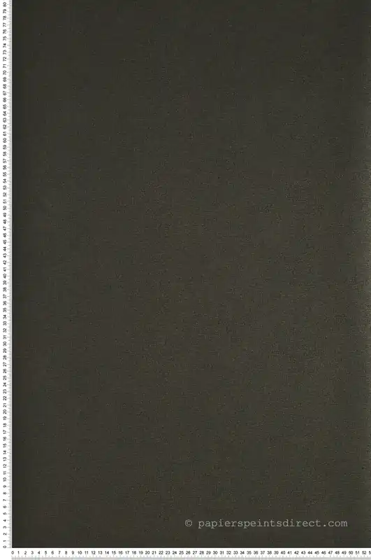 Prix Réduit Papier peint Faux Uni Aleph noir et or - Delta de Casamance Réf. CAS-B72123270