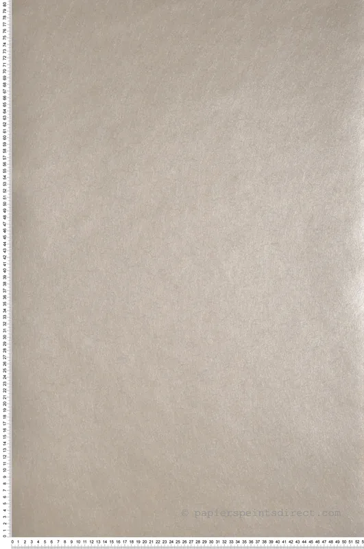 Meilleur Prix Papier peint Métallisé Fibre argenté - City Chic de Lutèce Réf. LTC-346613
