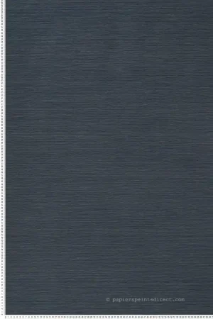 Livraison Express Papier peint Faux Uni Malacca marine - Manille de Casamance Réf. CAS-74642548