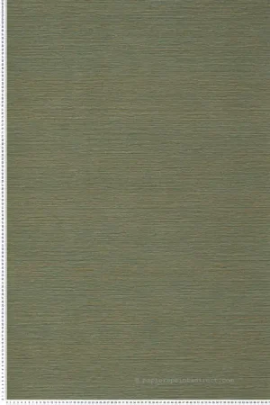 Affaire À Saisir Papier peint Faux Uni Malacca cactus - Manille de Casamance Réf. CAS-74642038