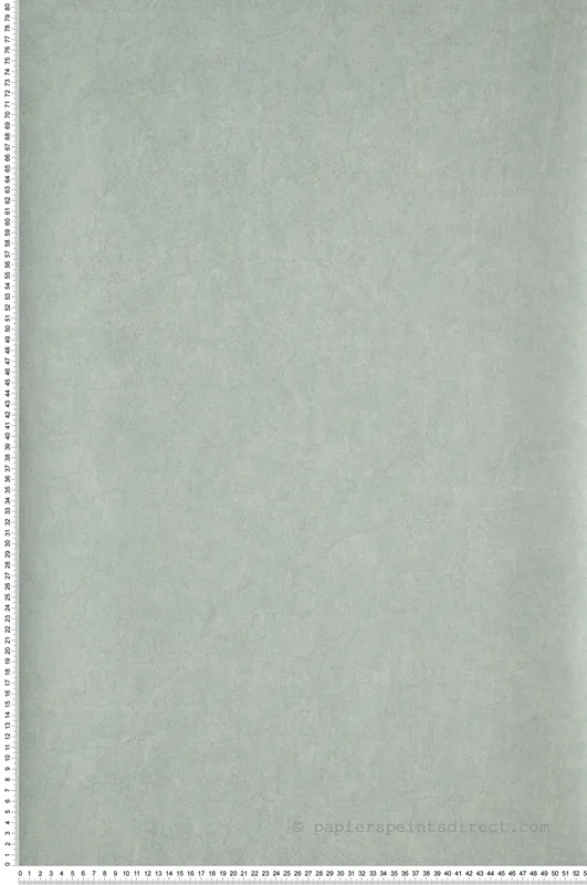 Expédition Rapide Papier peint Faux uni Lewis amande clair argenté - Jardins Suspendus de Casadéco Réf. JDSP84077227