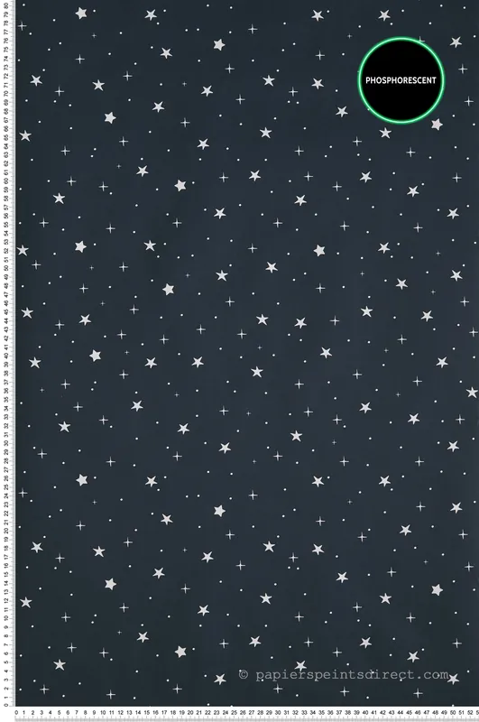 Offre Limitée Papier peint Etoile Stars in your eyes phosphorescent nuit - Our Planet de Casélio Réf. OUP101926918