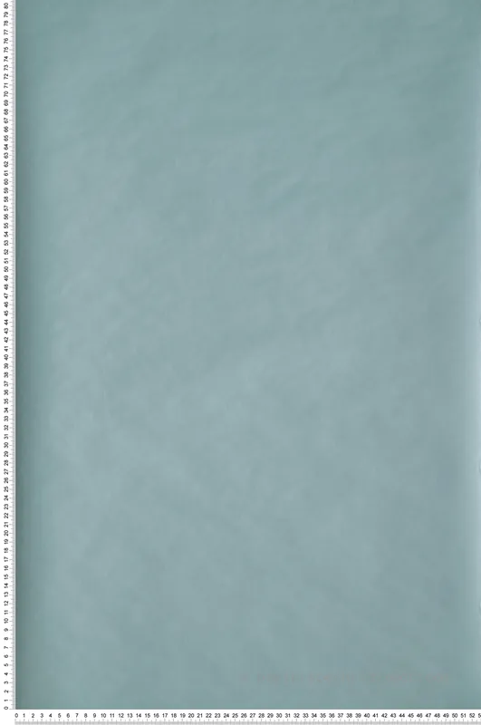 Dernier Modèle Papier peint Uni bleu givré - Our Planet de Casélio Réf. OUP69866000