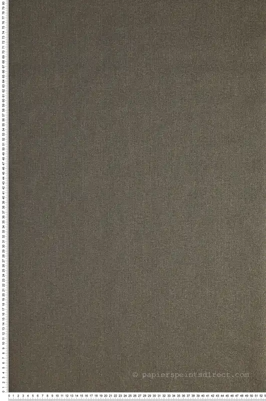 Vente Directe Papier peint Uni Natté Métallisé Noir/Doré - Green Life et Natté de Casélio Réf. GNL101579120