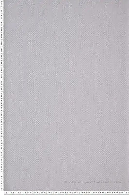 Bon Marché Papier peint Uni Natté Gris argent - Green Life et Natté de Casélio Réf. GNL101569050
