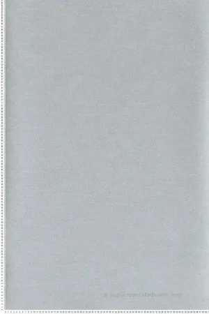 Papier peint faux uni Plumetis Vert d‘Eau - Misura de Casamance Réf. CAS-74452652 Acheter En Ligne