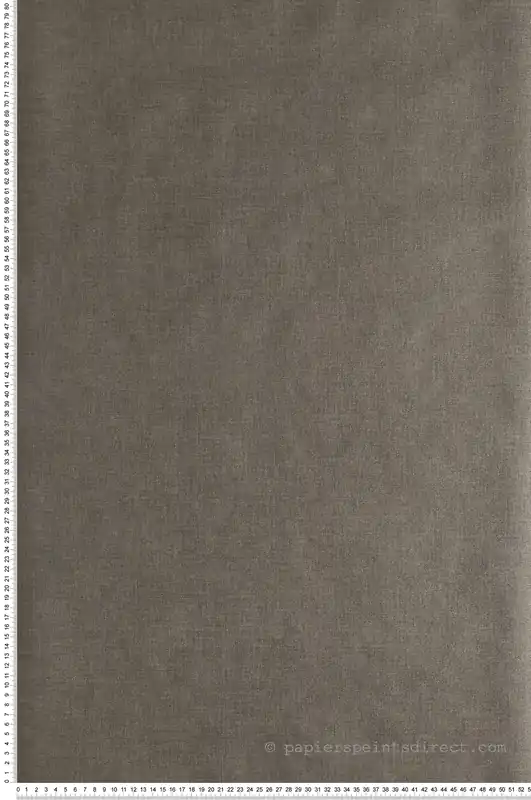Commande En Gros Papier peint Uni gris souris doré - Moonlight de Casélio Réf. MLG68529627
