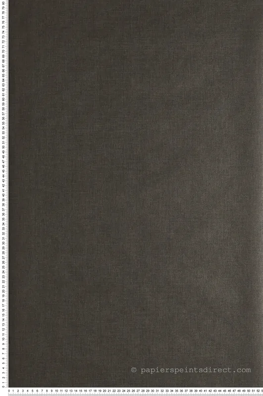 Acheter En Ligne Papier peint Uni noir anthracite et doré - Moonlight de Casélio Réf. MLG68527485