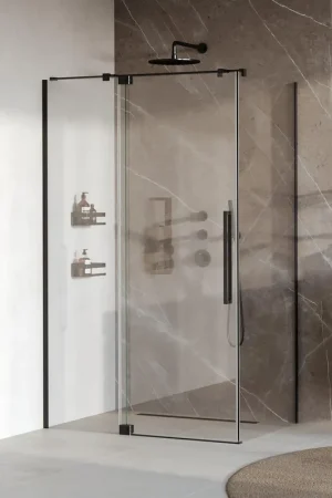 Achetez Aujourd'hui BRAUER Stellar Cabine de douche - 120x90x200cm - porte battante - revêtement de verre - réversible - verre clair - noir mat