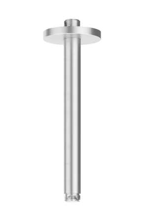 Acheter Direct IVY Plafondbuis - 20cm - 1/2" - Inox316 brossé