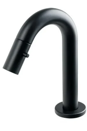 Acheter Direct Plieger Lupo 2.0 robinet de WC noir mat