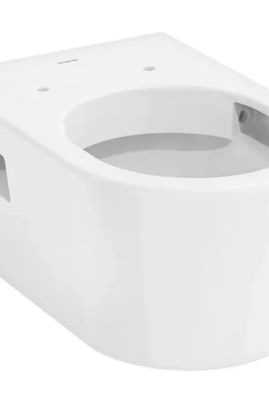 Achat Immédiat Hansgrohe EluPura Original S WC suspendu 54x36cm - sans rebord - AquaChannel Flush - céramique - blanc brillant