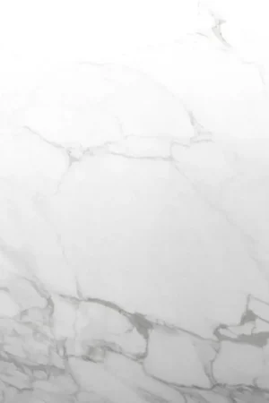 Achat Immédiat Carrelage Sol Et Mur Enterprise Blanc Marbré Mat 60x120cm