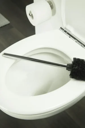 Tiger Pièce de rechange Brosse de toilette universelle Chrome Quantité Limitée