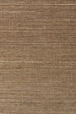 Petit Prix Revêtement mural Sisal