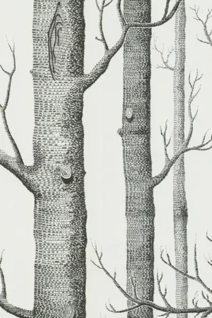 Expédition Rapide Papier peint Woods