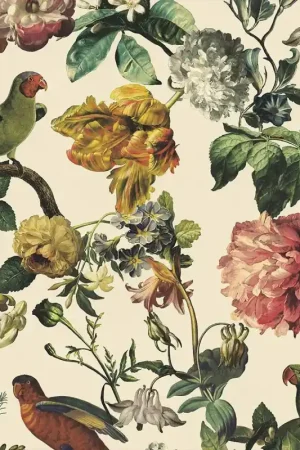 Bon Plan Papier peint Birds in Springtime - Museum